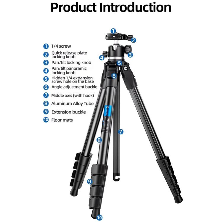 BEXIN TA255-BS30 Portable Collapsible Aluminum Alloy Camera Tripod with Head (Black) by BEXIN