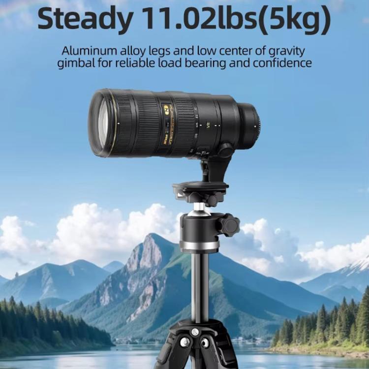 BEXIN TA255-BS30 Portable Collapsible Aluminum Alloy Camera Tripod with Head (Black) by BEXIN