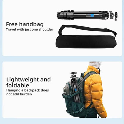 BEXIN TA255-BS30 Portable Collapsible Aluminum Alloy Camera Tripod with Head (Black) by BEXIN