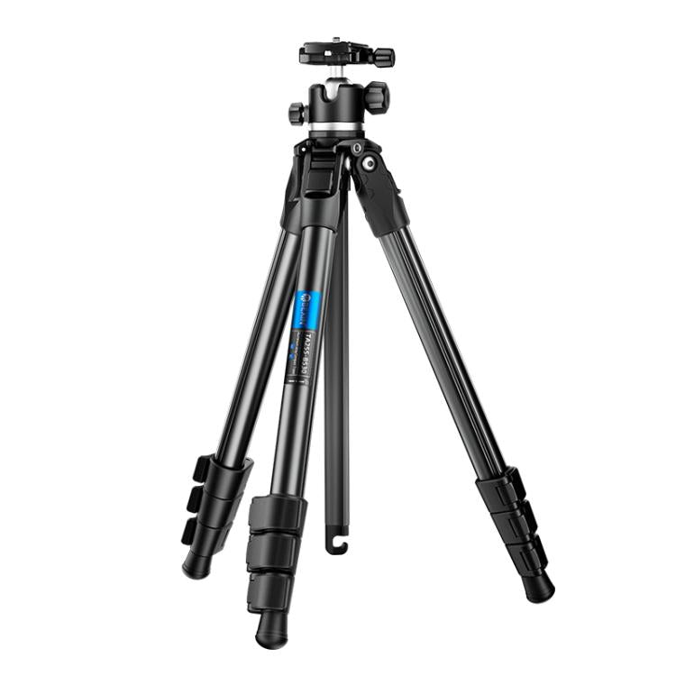 BEXIN TA254-BS30 Portable Collapsible Aluminum Alloy Camera Tripod with Head (Black) by BEXIN
