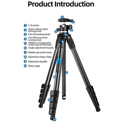 BEXIN TA254-BS30 Portable Collapsible Aluminum Alloy Camera Tripod with Head (Black) by BEXIN