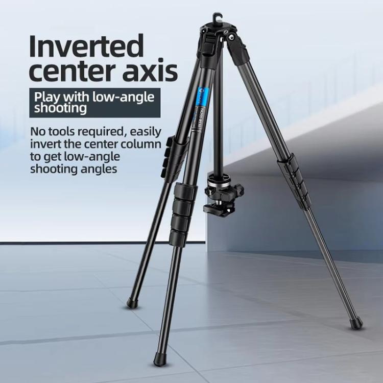 BEXIN TA254-BS30 Portable Collapsible Aluminum Alloy Camera Tripod with Head (Black) by BEXIN