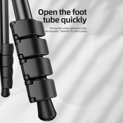 BEXIN TA254-BS30 Portable Collapsible Aluminum Alloy Camera Tripod with Head (Black) by BEXIN