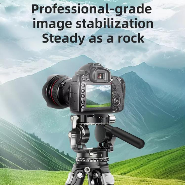 BEXIN RK294 Portable Collapsible Aluminum Alloy Camera Tripod (Black) by BEXIN