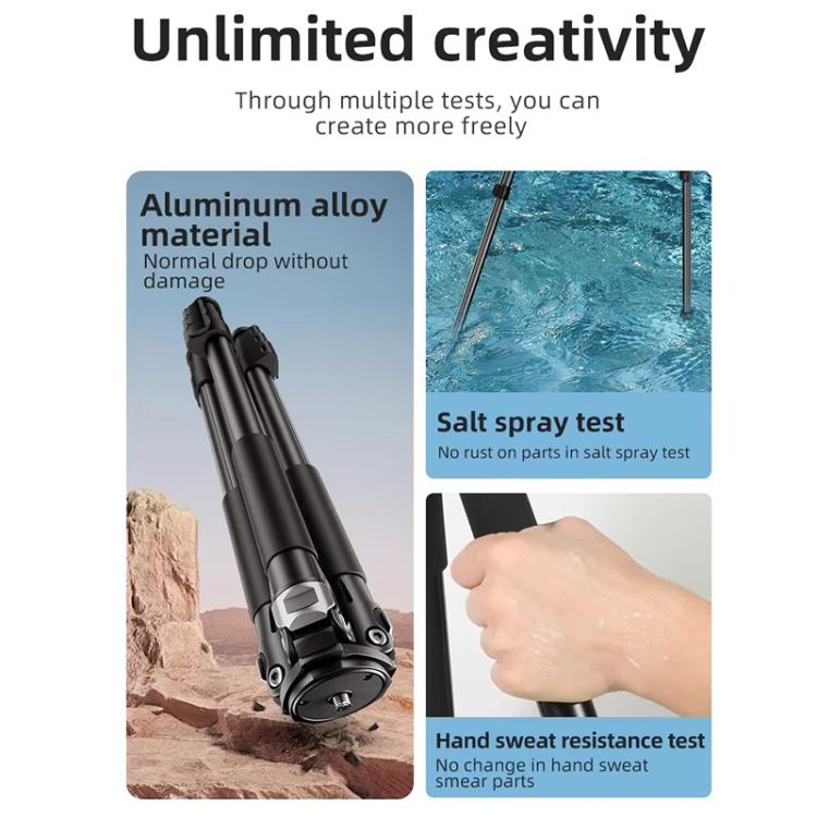 BEXIN RK294 Portable Collapsible Aluminum Alloy Camera Tripod (Black) by BEXIN