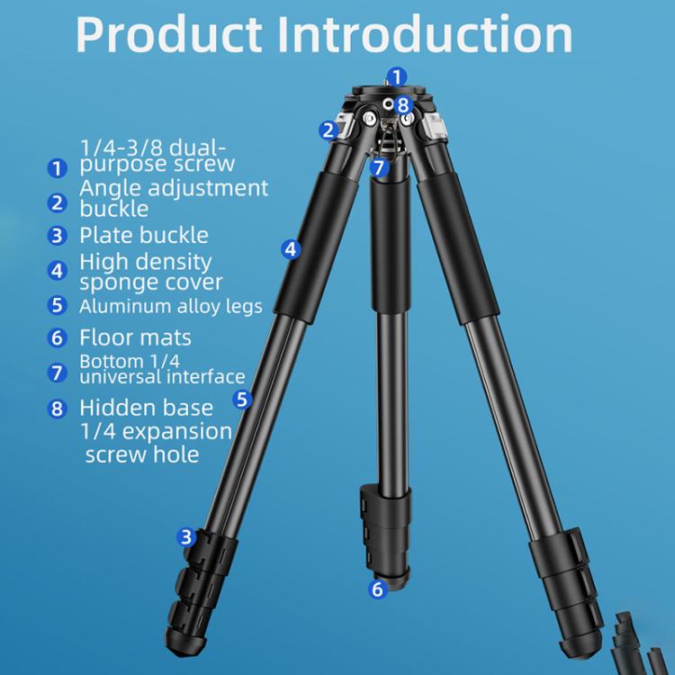 BEXIN RK264 Portable Collapsible Aluminum Alloy Camera Tripod (Black) by BEXIN