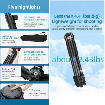 BEXIN RK264 Portable Collapsible Aluminum Alloy Camera Tripod (Black) by BEXIN