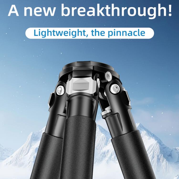 BEXIN RK264 Portable Collapsible Aluminum Alloy Camera Tripod (Black) by BEXIN