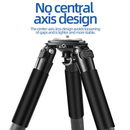 BEXIN ST402C Portable Collapsible Carbon Fiber Camera Tripod (Black) by BEXIN