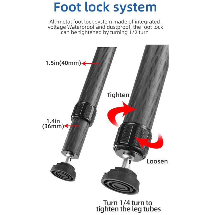 BEXIN ST402C Portable Collapsible Carbon Fiber Camera Tripod (Black) by BEXIN
