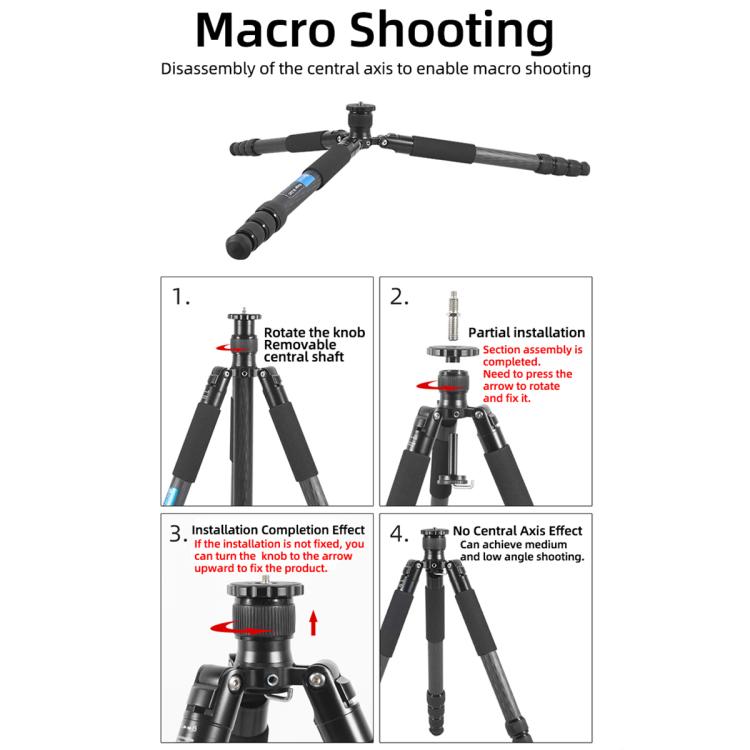 BEXIN W-334C Portable DSLR Camera 2 in 1 Carbon Fiber Tripod Detachable Monopod (Black) by BEXIN