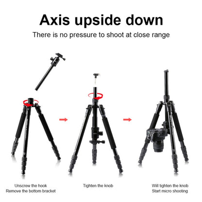 TRIOPO M2508 Multifunction Adjustable 4-Section Portable Aluminum Alloy Tripod Monopod with D-2A Ball Head for SLR Camera by TRIOPO