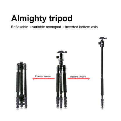 TRIOPO M2508 Multifunction Adjustable 4-Section Portable Aluminum Alloy Tripod Monopod with D-2A Ball Head for SLR Camera by TRIOPO