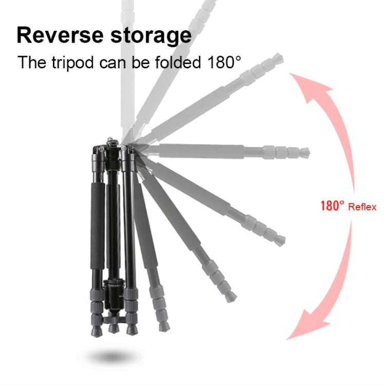 TRIOPO M2508 Multifunction Adjustable 4-Section Portable Aluminum Alloy Tripod Monopod with D-2A Ball Head for SLR Camera by TRIOPO