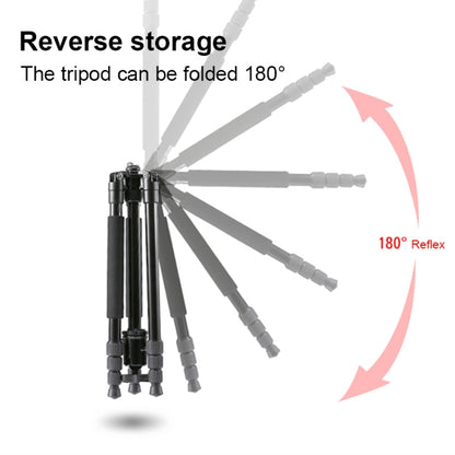 TRIOPO M2508 Multifunction Adjustable 4-Section Portable Aluminum Alloy Tripod Monopod with D-2A Ball Head for SLR Camera by TRIOPO
