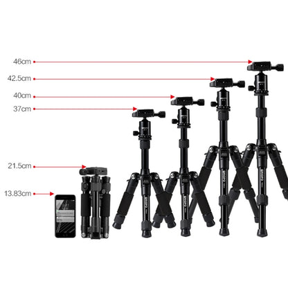 TRIOPO T226 Adjustable Portable Aluminum Alloy Tripod with D-0 Ball Head for SLR Camera by TRIOPO