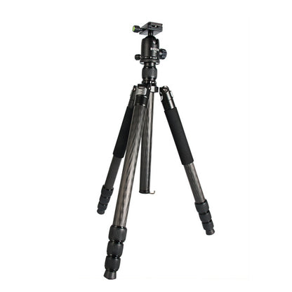 BEXIN W324C G44 Carbon Fiber Tripod Stable Shooting Camera for Video Point Dslr Camera by BEXIN