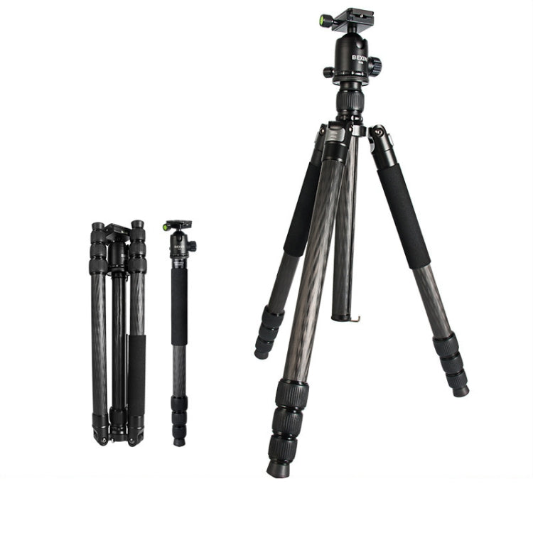 BEXIN W324C G44 Carbon Fiber Tripod Stable Shooting Camera for Video Point Dslr Camera by BEXIN