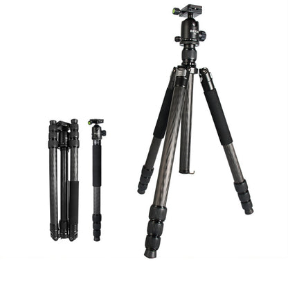 BEXIN W324C G44 Carbon Fiber Tripod Stable Shooting Camera for Video Point Dslr Camera by BEXIN