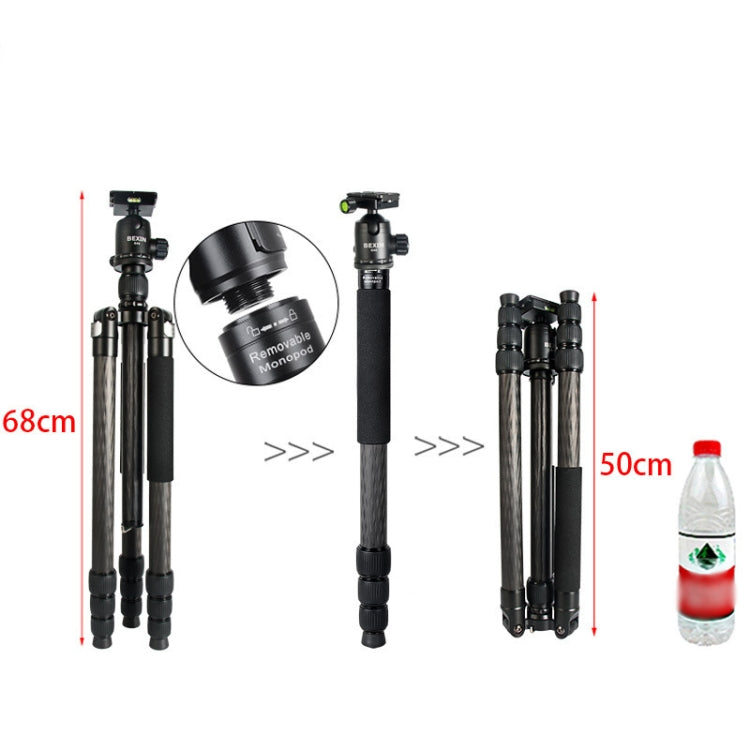 BEXIN W324C G44 Carbon Fiber Tripod Stable Shooting Camera for Video Point Dslr Camera by BEXIN