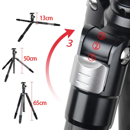 BEXIN W324C G44 Carbon Fiber Tripod Stable Shooting Camera for Video Point Dslr Camera by BEXIN