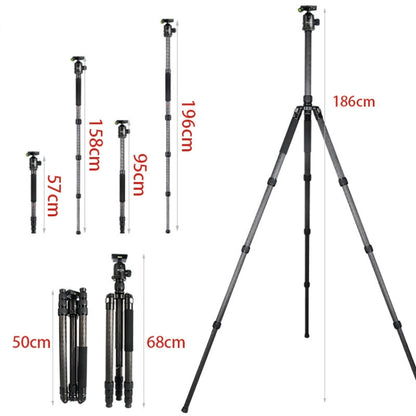 BEXIN W324C G44 Carbon Fiber Tripod Stable Shooting Camera for Video Point Dslr Camera by BEXIN