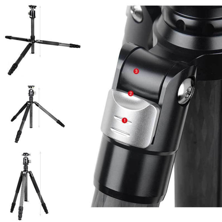 BEXIN W324C M44 Carbon Fiber Tripod Stable Shooting Camera for Video Point Dslr Camera by BEXIN