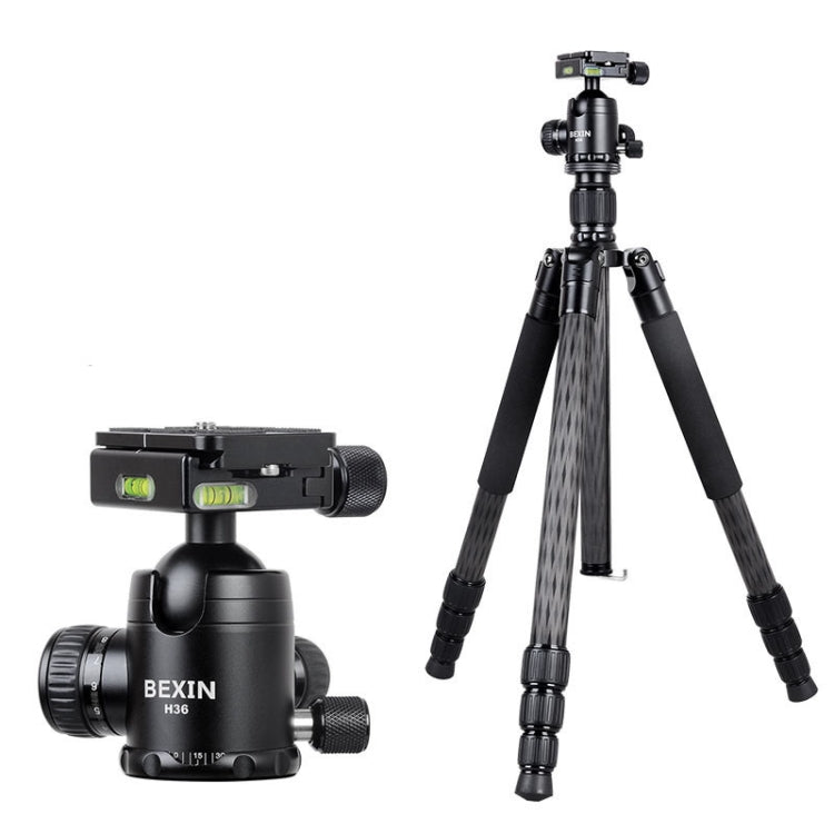 BEXIN W284C H36 Carbon Fiber Professional Photo Tripod for DSLR Camera by BEXIN