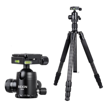BEXIN W284C H36 Carbon Fiber Professional Photo Tripod for DSLR Camera by BEXIN