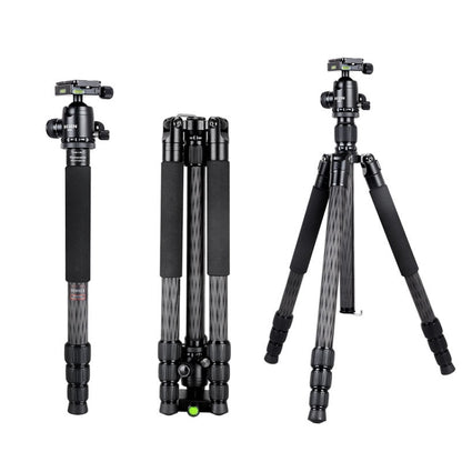 BEXIN W284C H36 Carbon Fiber Professional Photo Tripod for DSLR Camera by BEXIN