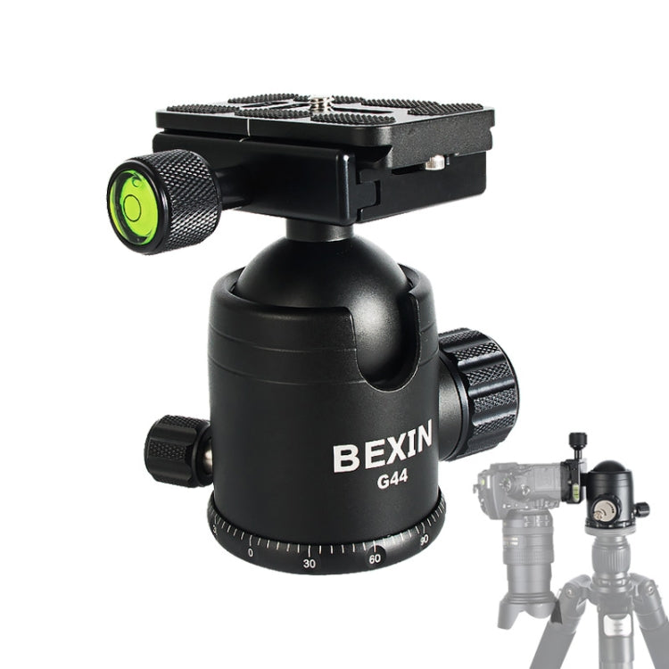 BEXIN W284C H36 Carbon Fiber Professional Photo Tripod for DSLR Camera by BEXIN