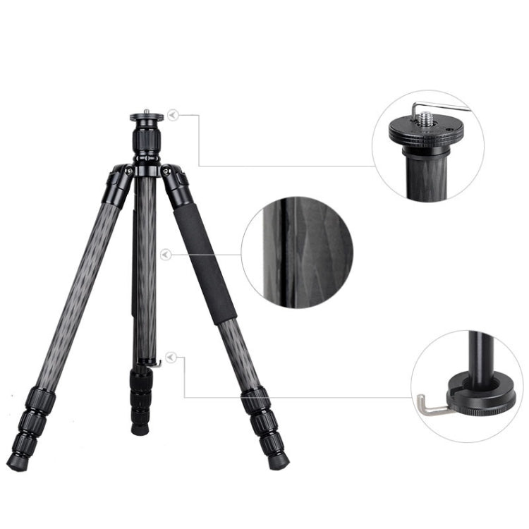 BEXIN W284C H36 Carbon Fiber Professional Photo Tripod for DSLR Camera by BEXIN