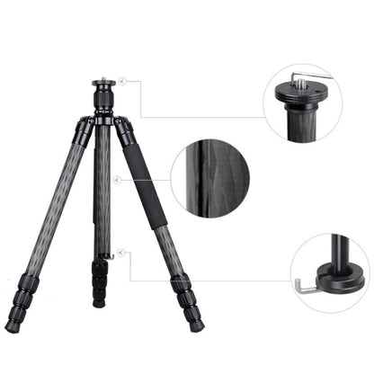 BEXIN W284C H36 Carbon Fiber Professional Photo Tripod for DSLR Camera by BEXIN