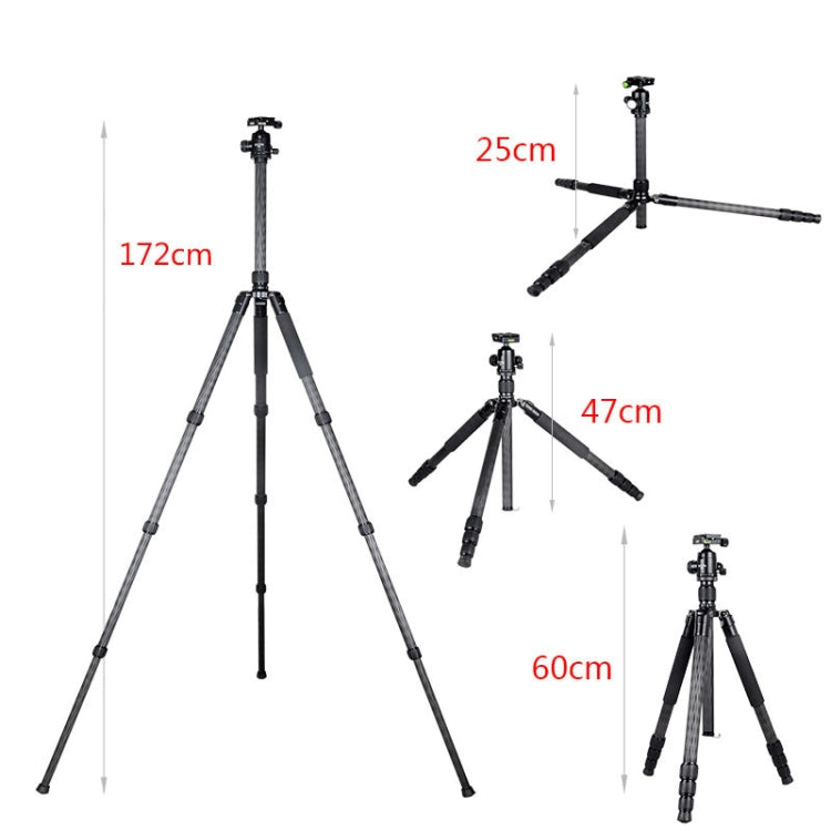 BEXIN W284C H36 Carbon Fiber Professional Photo Tripod for DSLR Camera by BEXIN