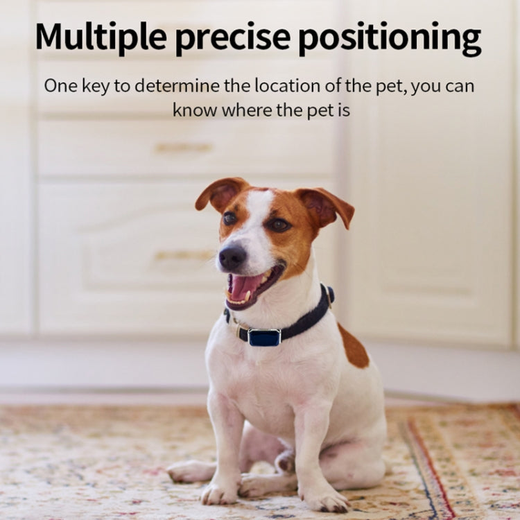 G12 IP67 Waterproof Pet GPS Tracker Dog Locator by bashfashion