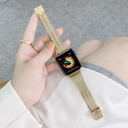 Double Lines Steel Watch Band For Apple Watch Series 9&8&7 41mm / SE 3&SE 2&6&SE&5&4 40mm / 3&2&1 38mm(Gold) by bashfashion