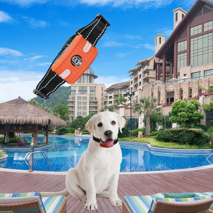 RC-302B Pet Bark Stopper Electric Shock Dog Training Collar Anti-interference Stop Calling Device(Orange) by bashfashion