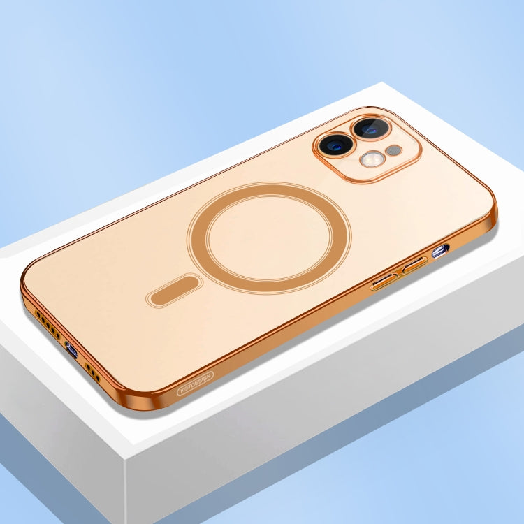 EDA002083406D_1.jpg@7918cbdefcf017ef31dc84c2584ec5d9