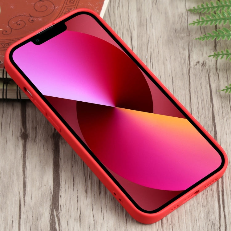 EDA002273502B_2.jpg@2fa2dc3c0a2ce5f2373ca0026271f7ab