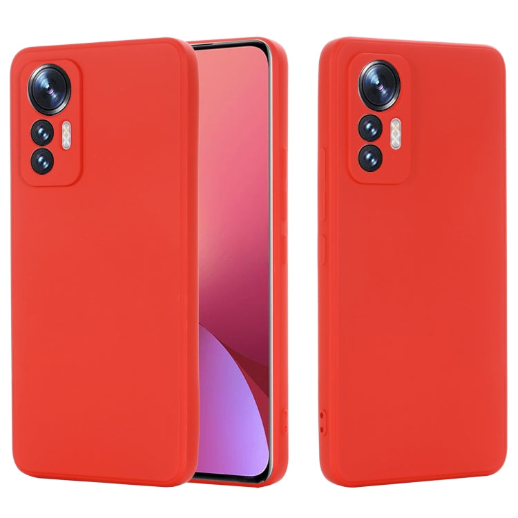 EDA003209204B_1.jpg@8727b8211fb2c851c41329db32322d9b