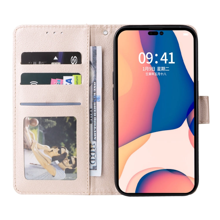 EDA003404904E_3.jpg@c06076a227a8a605b94657c7de6fdc4b