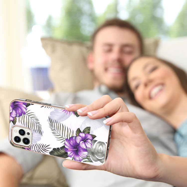 EDA003409304F_1.jpg@d3d6ee2bdb287679576216ecb0710533