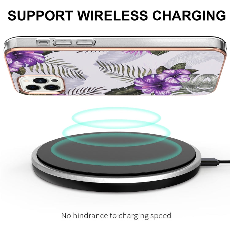 EDA003409304F_3.jpg@2b66a4fefb9b5499437666cebfceb445