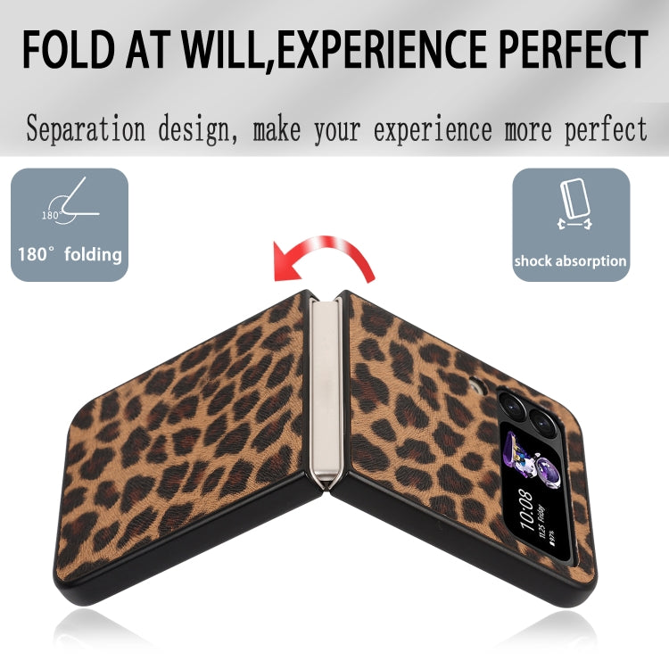 EDA003446301A_2.jpg@eab53565bbd5db31aabe8f8e9fbb9352