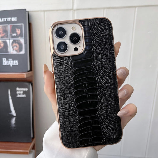 EDA003476003A_1.jpg@17b28c1f301a0f21f69832f77ee07a5c