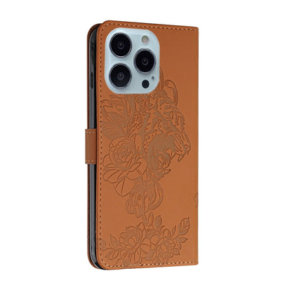 EDA003479903F_2.jpg@a1c02d9e2ae5db51c5bbce51ffb7ac8f