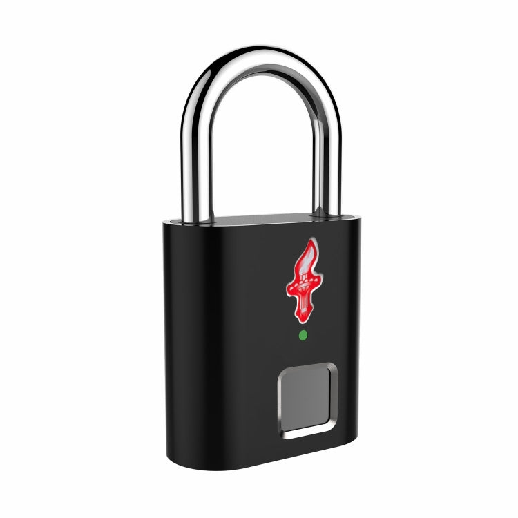 P16 5V Micro USB Charging Semiconductor Fingerprint Sensing TSA Padlock(Black) by bashfashion