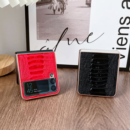 EDA003647301_B2.jpg@8c024d3224c0b1afed4d6213b9ac2f66