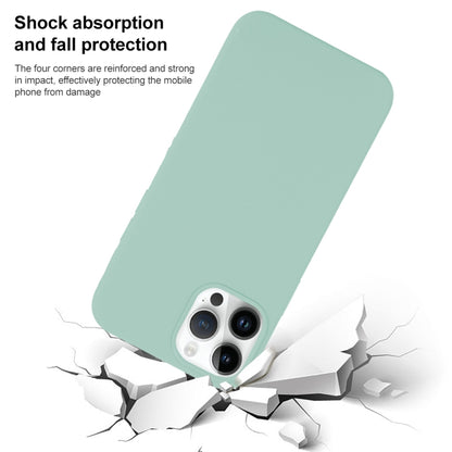 For iPhone 14 Solid Silicone Phone Case(Black) by bashfashion