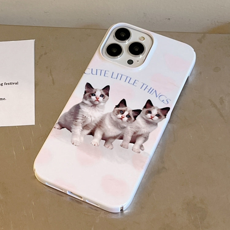 For iPhone 14 Pro Max Cartoon Film Craft Hard PC Phone Case(Three Cute Cats) by bashfashion